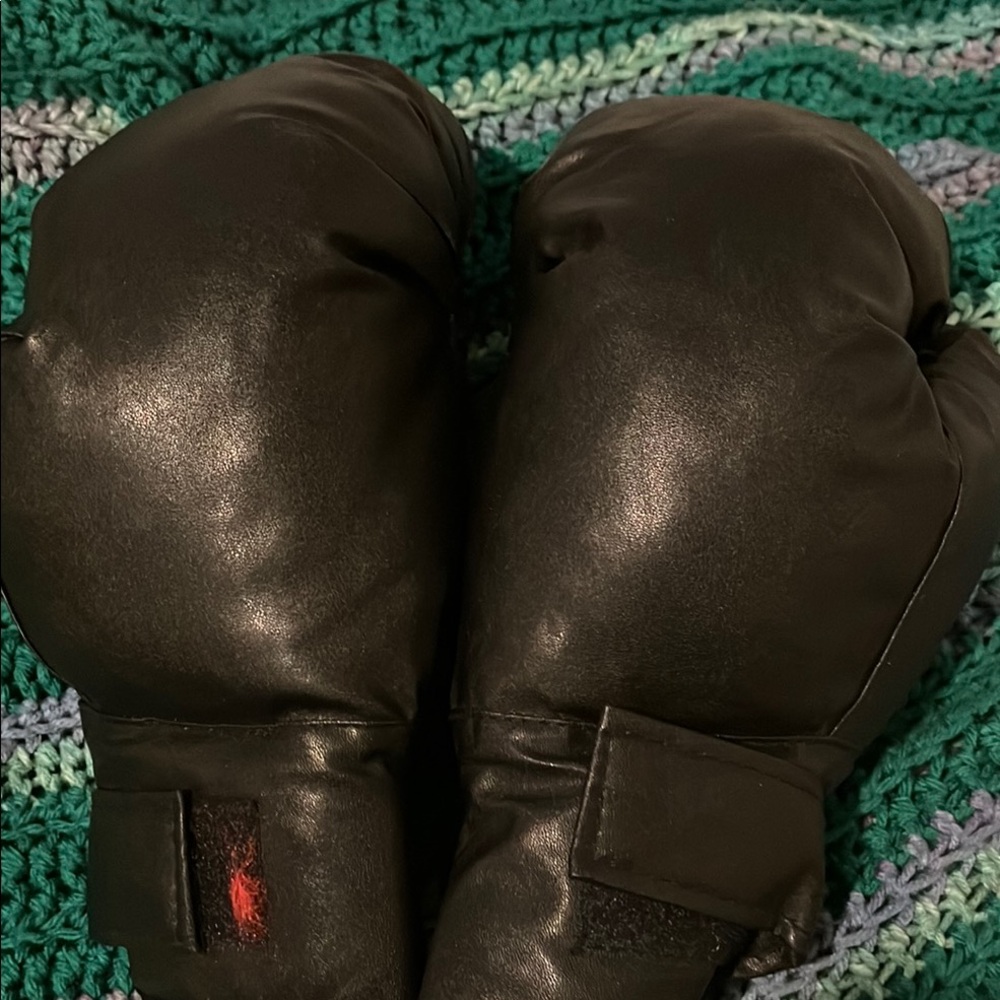 Premium Black Boxing Gloves